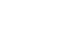 Bliq Logo